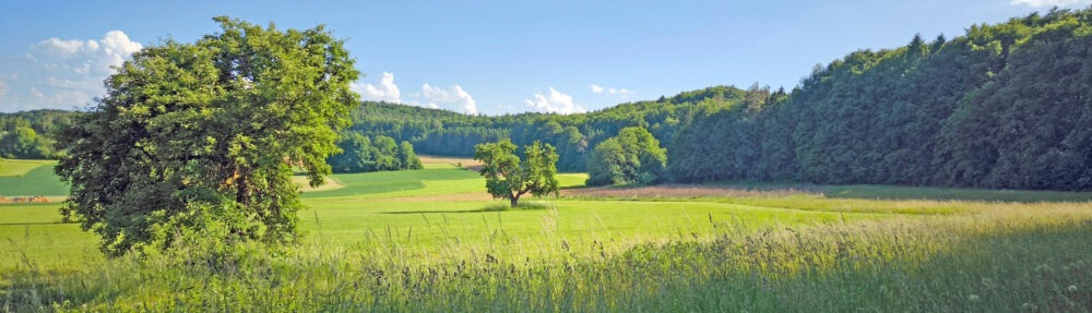 NaturFreunde Mainz