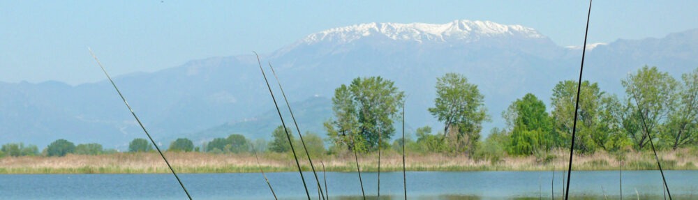 NaturFreunde Mainz