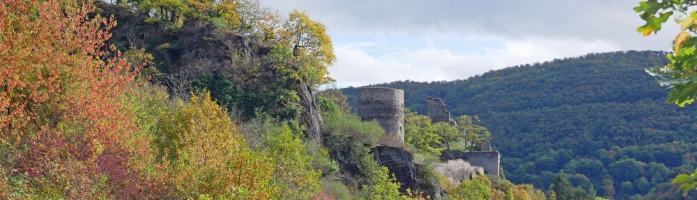 NaturFreunde Mainz