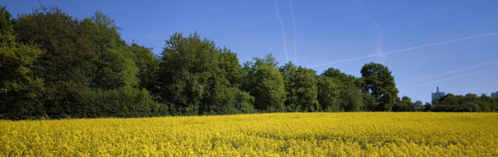 NaturFreunde Mainz
