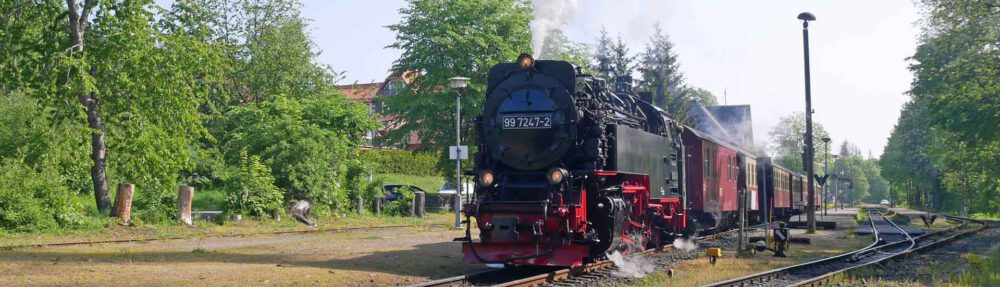 NaturFreunde Mainz